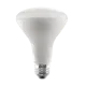 Bulb